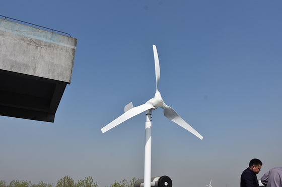 Nylon Blade Horizontal Blade Wind Turbine 24V 48V 800W Untuk Sistem Off Grid