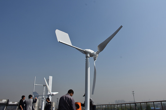 Nylon Blade Horizontal Blade Wind Turbine 24V 48V 800W Untuk Sistem Off Grid