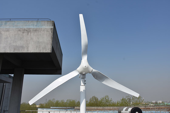 Turbin Angin Horizontal Kecil Tiga Fase 24 Volt 48 Volt 800W Horizontal Wind Mill