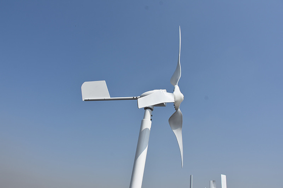 Turbin Angin Horizontal Kecil Tiga Fase 24 Volt 48 Volt 800W Horizontal Wind Mill