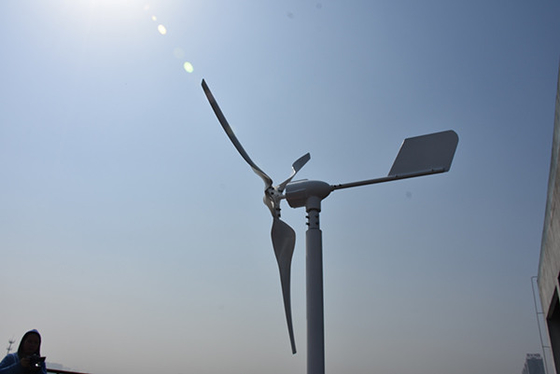 24V 48V Turbin Angin Horizontal Kecil 800W 1000W Horizontal Axis Wind Mill